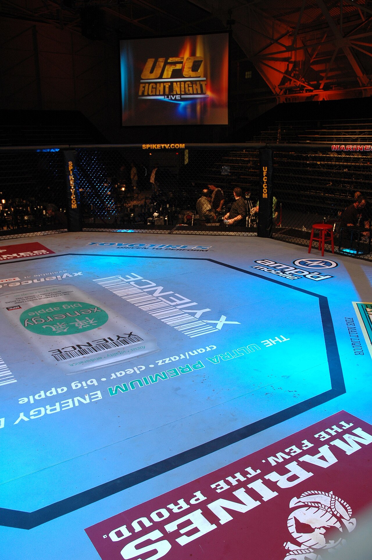 Octógono do UFC, foto de arquivo ilustrativa